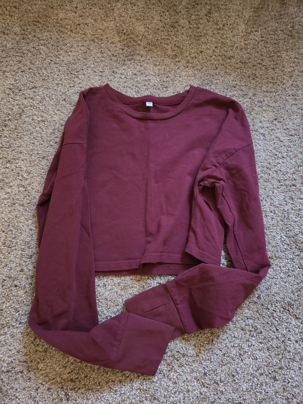 Cropped Long Sleeve Top in Deep Burgundy